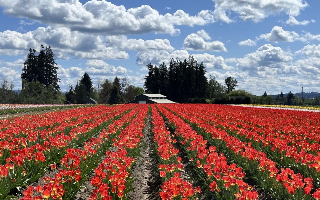 Your Weekend Reader for April 18-19