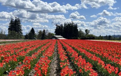 Your Weekend Reader for April 18-19