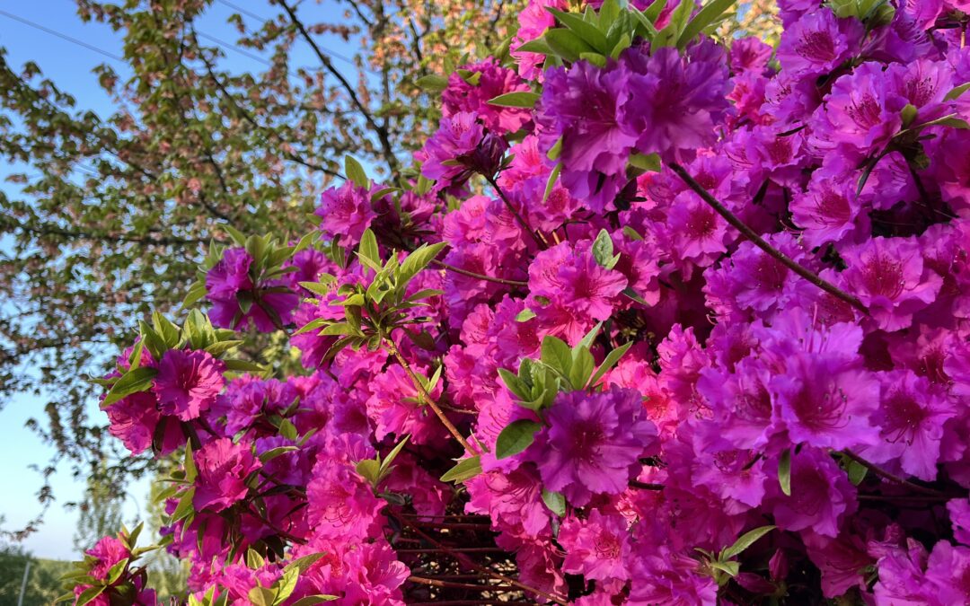 Your Weekend Reader for April 25-26