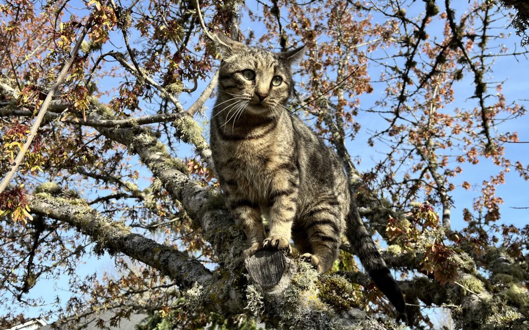 Your Weekend Reader for April 4-5