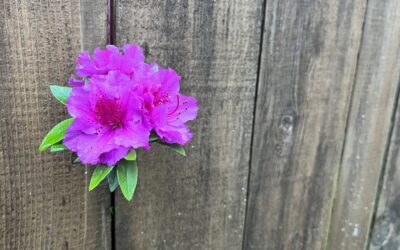 Your Weekend Reader for May 2-3