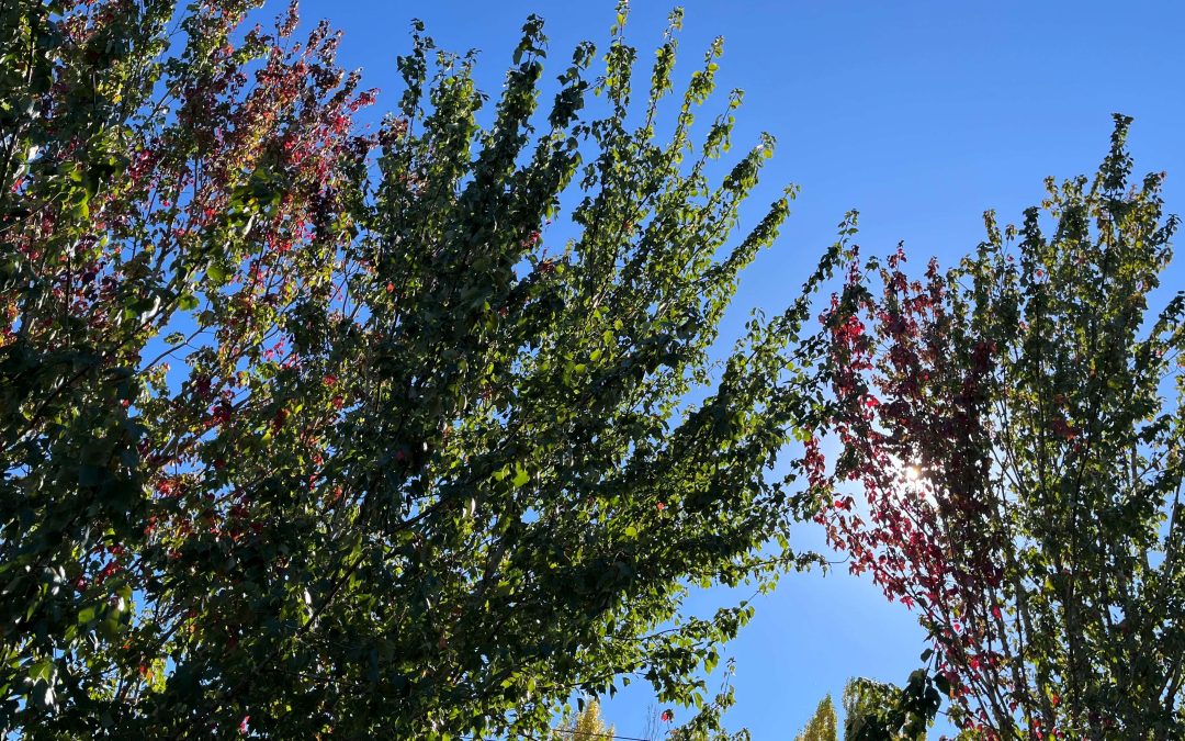 Your Weekend Reader for Oct. 3-4